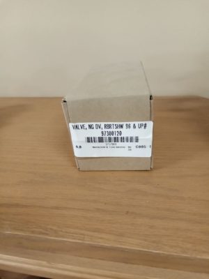 Valve, NG DV RBRTSHW 96 & up#